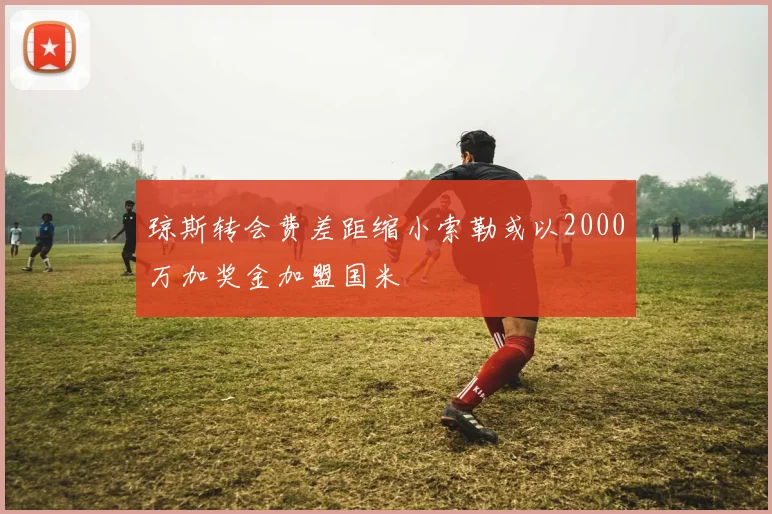 琼斯转会费差距缩小索勒或以2000万加奖金加盟国米